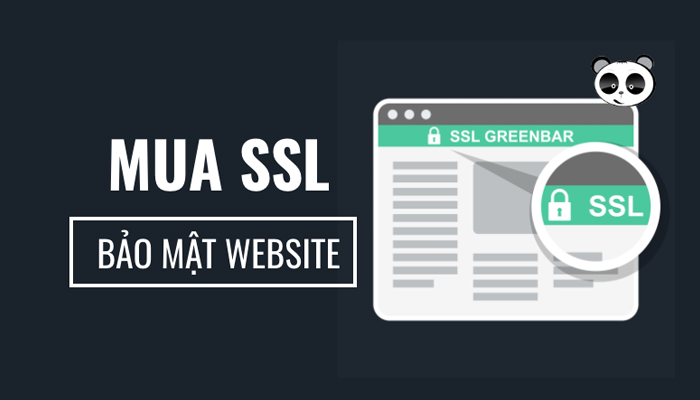 Dịch vụ đăng ký chứng chỉ SSL - Mona Media