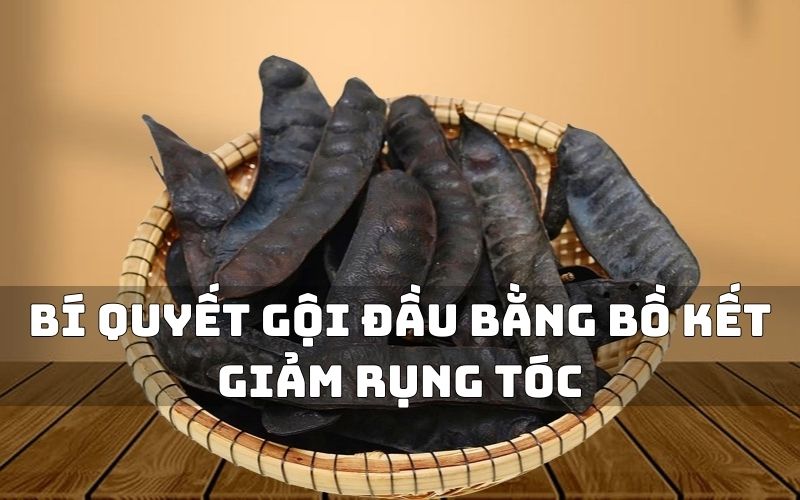 Công dụng của bồ kết giúp tóc suôn mượt