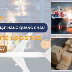 Review dịch vụ đặt hàng Quảng Châu tại P'tite