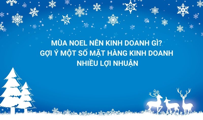 mùa noel nên kinh doanh gì