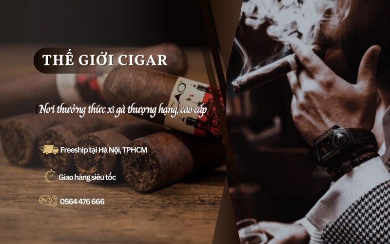 Thế Giới Cigar cửa hàng xì gà chính hãng