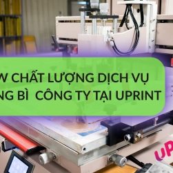 Review chất lượng dịch vụ in phong bì công ty tại uPrint