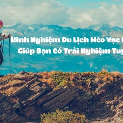 kinh nghiệm du lịch mèo vạc hà giang