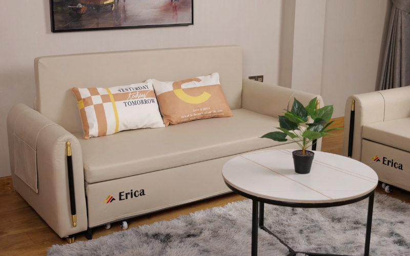 Đơn vị kinh doanh sofa giường Erica Việt Nam
