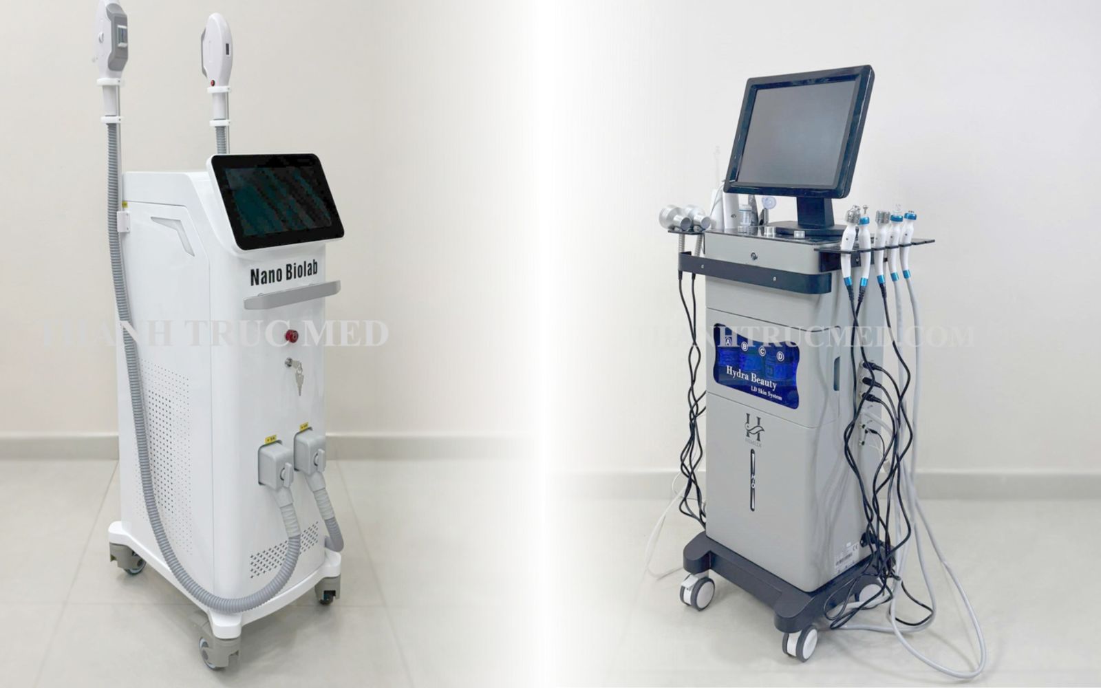 điểm khác biệt của thanh trúc