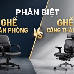 phân biệt ghế văn phòng và ghế công thái học